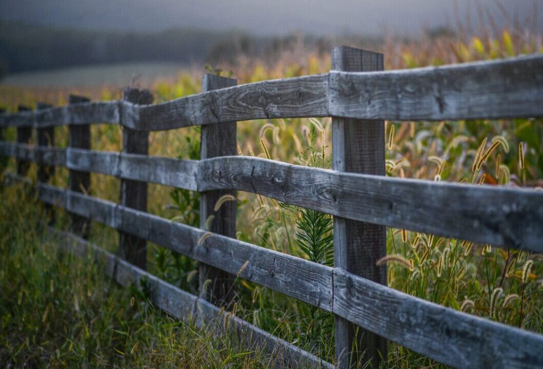 Boundary Fences Gaze Burt