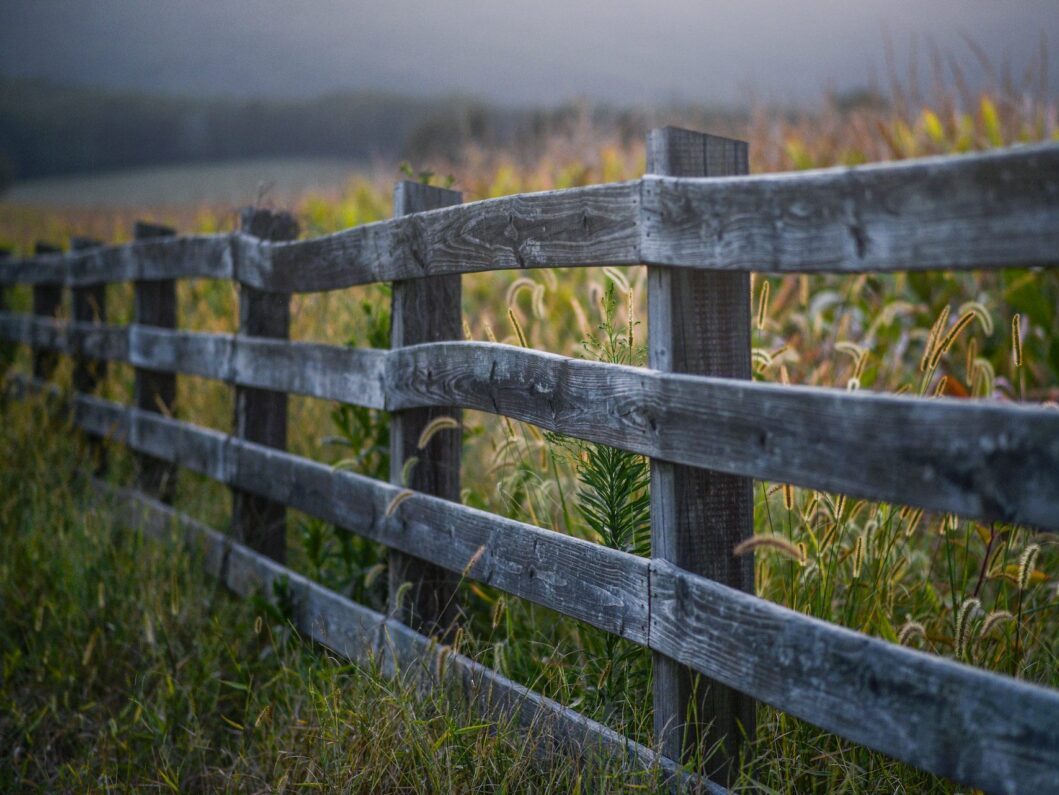 Boundary Fences